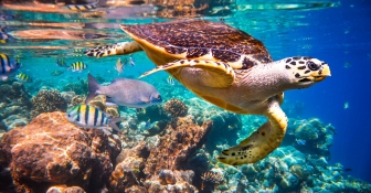 Los Cabos, un tesoro natural que invita a disfrutar de un turismo más sostenible